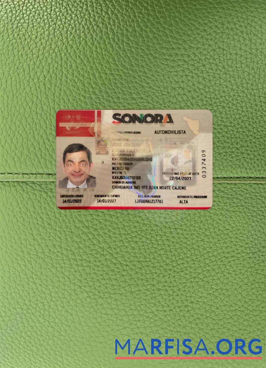 Blank Mexico Sonora state driving license photolook sample